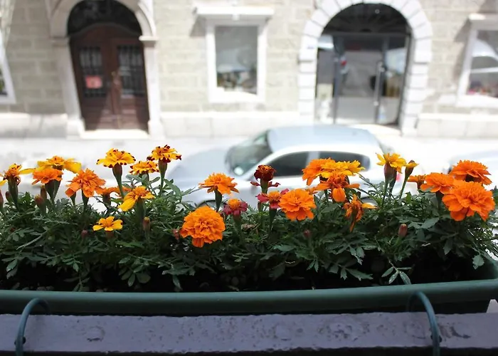 帝国1970住宿&早餐旅馆 的里雅斯特